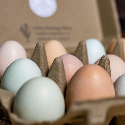 1 Dozen Farm Fresh Eggs
